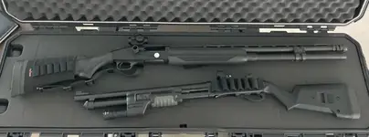 SHOTGUNS2.webp