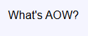 1733532305069.png
