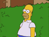 IMG_3922.gif