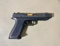 Shadow Systems DR920P (CA Compliant) — Timney Alpha Trigger Upgrade