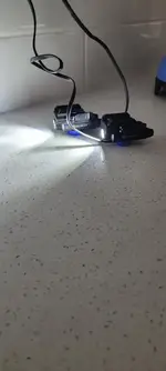 lowered - Sig Sauer Foxtrot and Olight PL-Mini weapon lights
