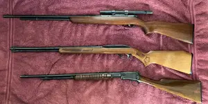 Moving sale! Several classic C&R .22 LR rifles