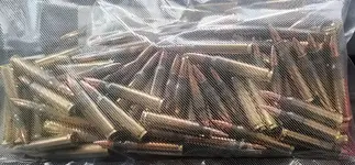200 rounds 22lr for 50$