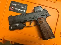 P365 Fuse / Mischief Machine Build