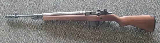 Springfield M1A