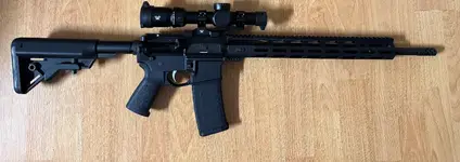 Ruger MPR 18”, ALG ACT Trigger, Vortex Venom 1-6