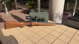 SPRINGFIELD ARMORY 2020 RIMFIRE