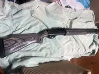 Walther PPS M2 and Remington 1100 Tactical Shotguns, two firearms, one price, Inland Empire