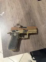 Sig p320