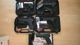 Glock 20C, Sig Sauer P238 (Irvine)