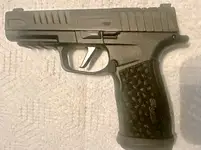 Sig 365 Fuse
