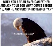 IMG_8352.jpeg