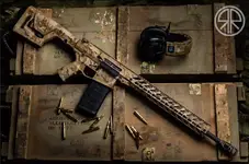 Desert Arid Camo AR-10 .308