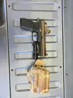 Gray guns P320 FS/DPP