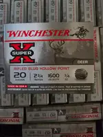 Winchester 20 ga rifled slugs