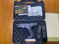 New Sig p226