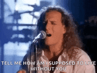 IMG_2386.gif