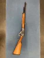 Gun for Pokémon / One piece