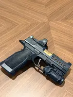 High end P365 Build (NORSSO, ECM, RAAM)