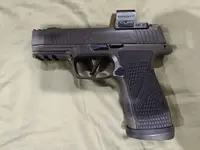 WTS/WTT Sig Sauer P365 AXG Legion