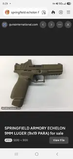 SPRINGFIELD ECHELON