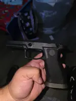 P320 Carry Grip module