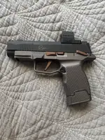 Sig p365 rose XL