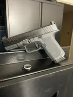 Ruger RXM