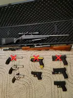 WTS Firearms