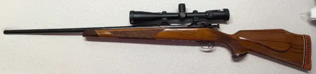 1903 Springfield Sporter, Buckmaster 6x15 BDC, and Warne QD rings.......Very Nice