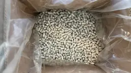 Brass Monkey Bullets