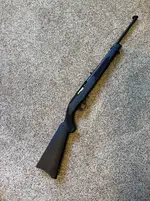Ruger 10/22