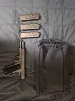 Kimber 1911 stainless