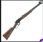 Henry or Marlin Lever Action