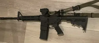 psa gun2.webp