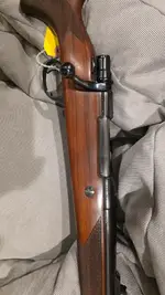 Savage A17, 12ga Coach Gun and Safari Express rifle 375H&H