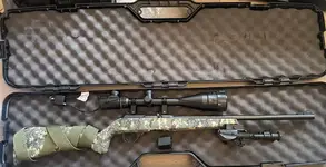 Selling my personal Winchester Wildcat .22 LR with optic and case. PPT