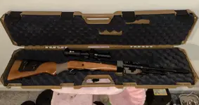 Ruger Mini 14
