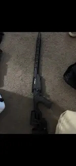 Ruger Precision .22lr