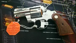 AR pistols, TRP, Pythons