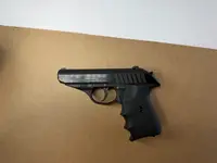 Sig 232
