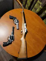 Ruger Mini 14