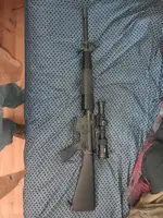 WTS PSA AR15 w/ A1 Handguard+LPVO