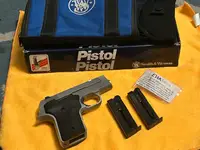 Smith & Wesson 2213 22lr
