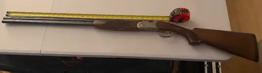 Beretta 686 / Winchester SXP - Wildomar