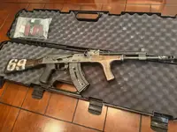 Meridian Pestilence Ak47