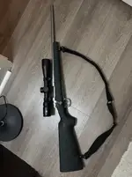 Remington Model Seven