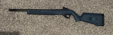 Custom Ruger 10/22