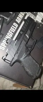 gun 2.webp