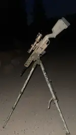 Sig sauer mcx regulator